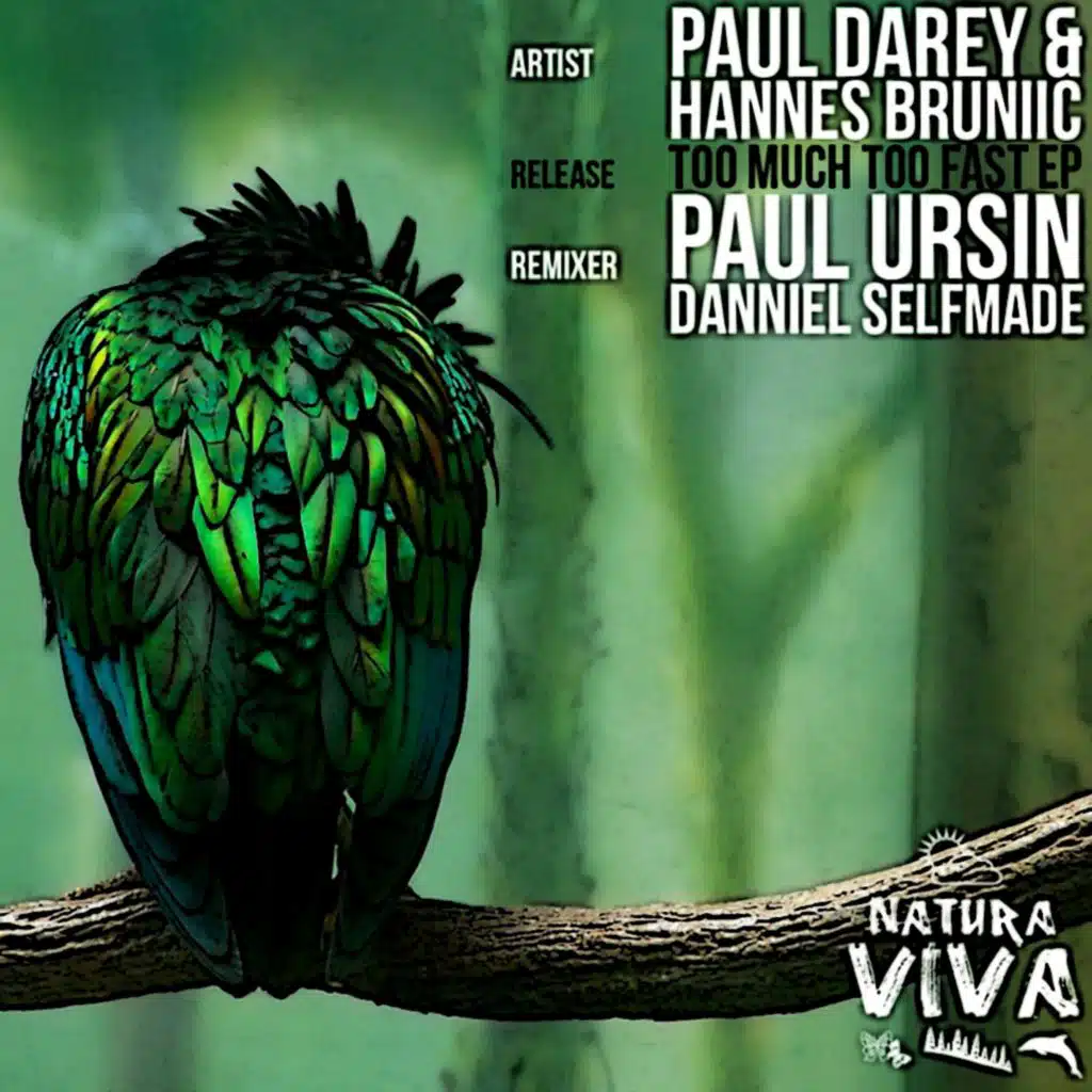 Paul Darey, Hannes Bruniic