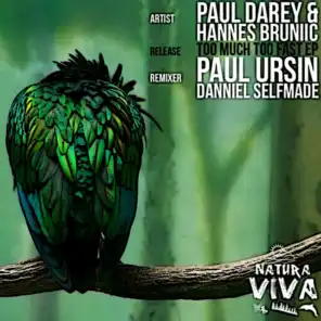 Dilusion (Paul Ursin Remix)