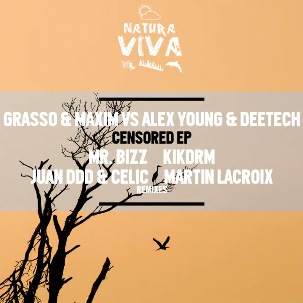 Grasso & Maxim, Alex Young & Deetech
