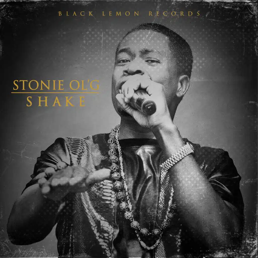 Shake (Jay Outback Remix)