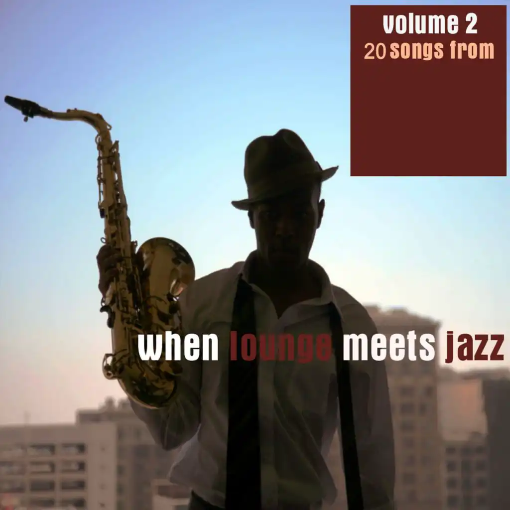 When Lounge Meets Jazz, Vol. 2