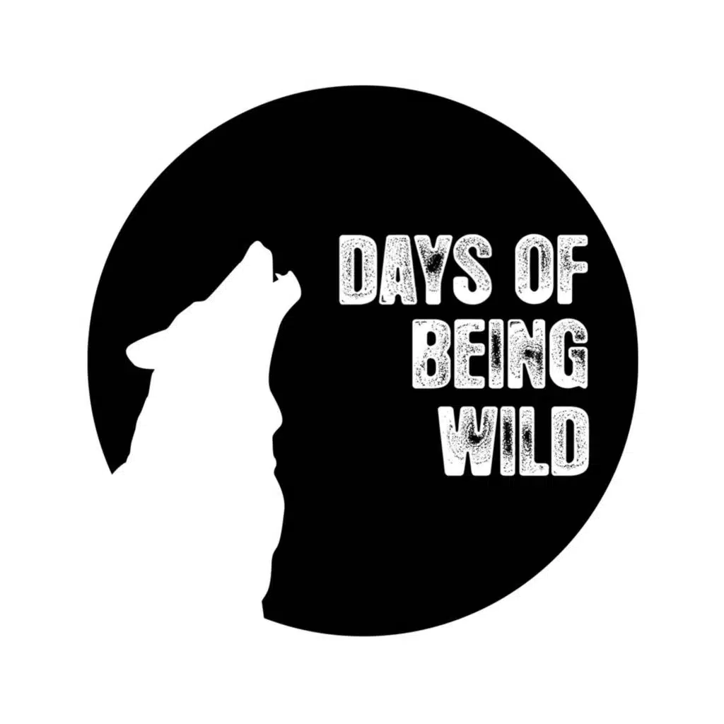 Les seigneurs (Naum Gabo Remix)