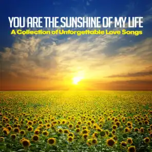 You Are the Sunshine of My Life (A Collection of Unforgettable Love Songs)