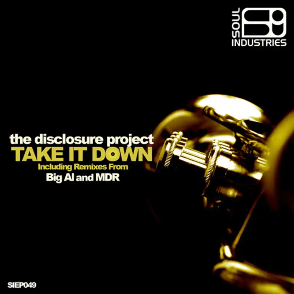 Take It Down (MDR Remix)
