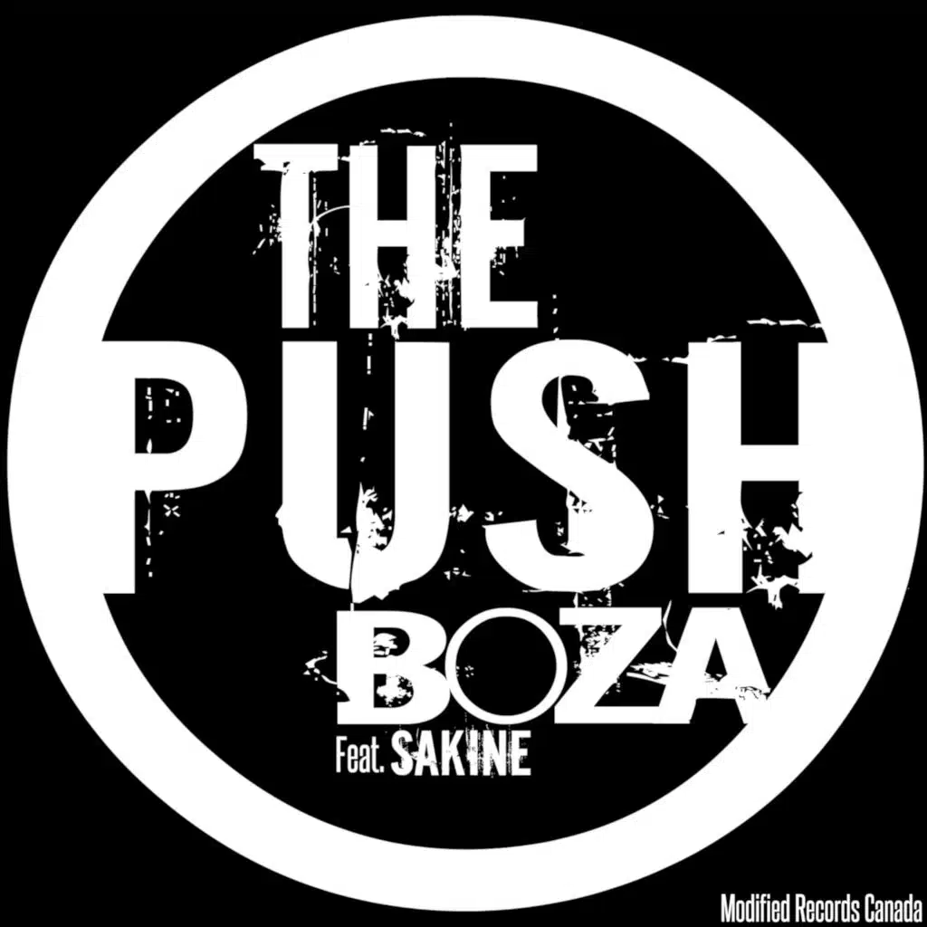 The Push (feat. Sakine)
