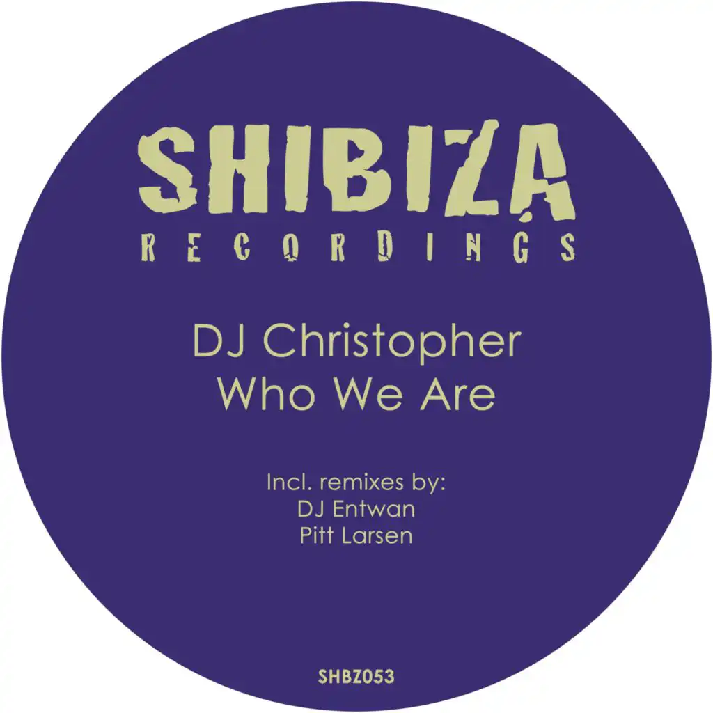 Who We Are (Pitt Larsen Remix)