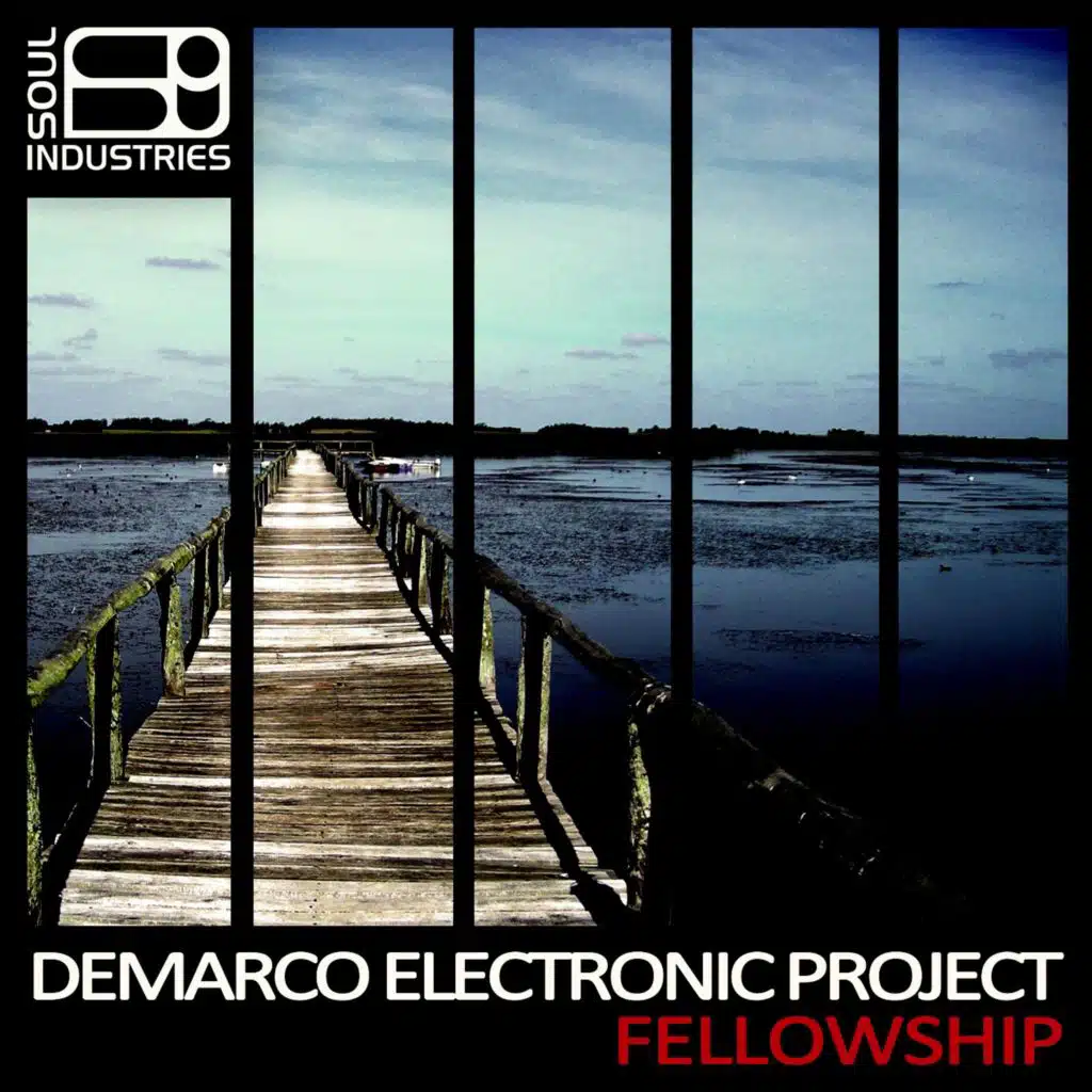Demarco Electronic Project
