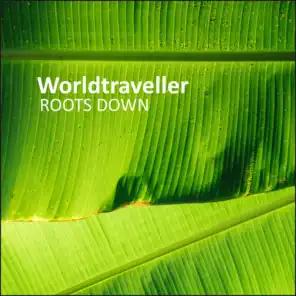 Roots Down (Instrumental Mix)