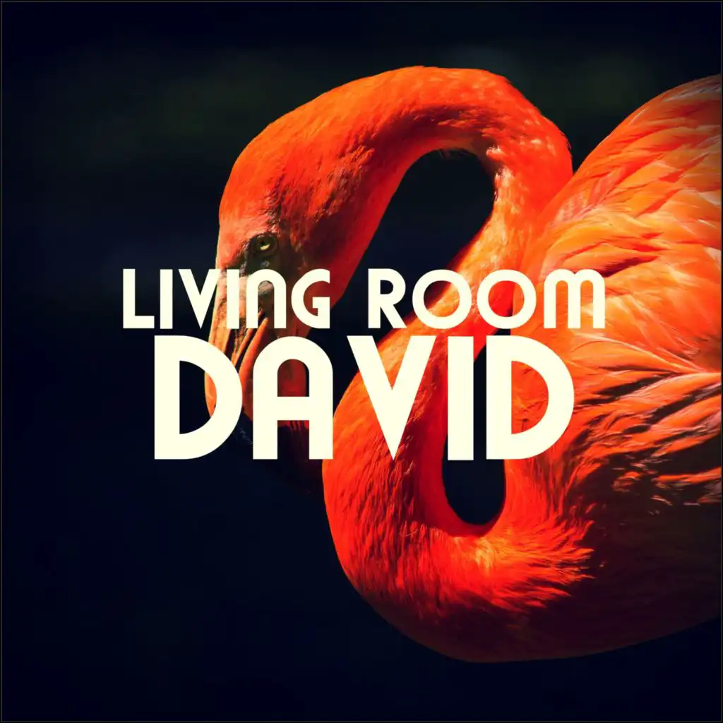 David 116 (Dub) [feat. Living Room]