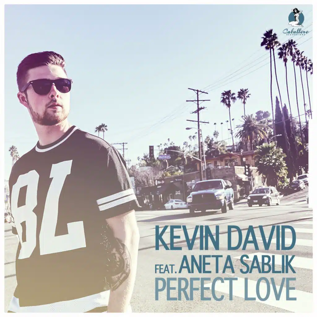 Perfect Love (Radio Mix) [feat. Aneta Sablik]