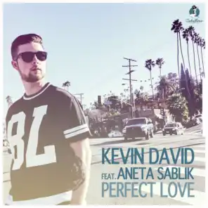 Perfect Love (feat. Aneta Sablik)