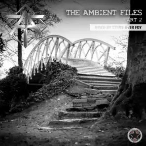 The Ambient Files, Pt. 2 (Mixed by Stars Over Foy)