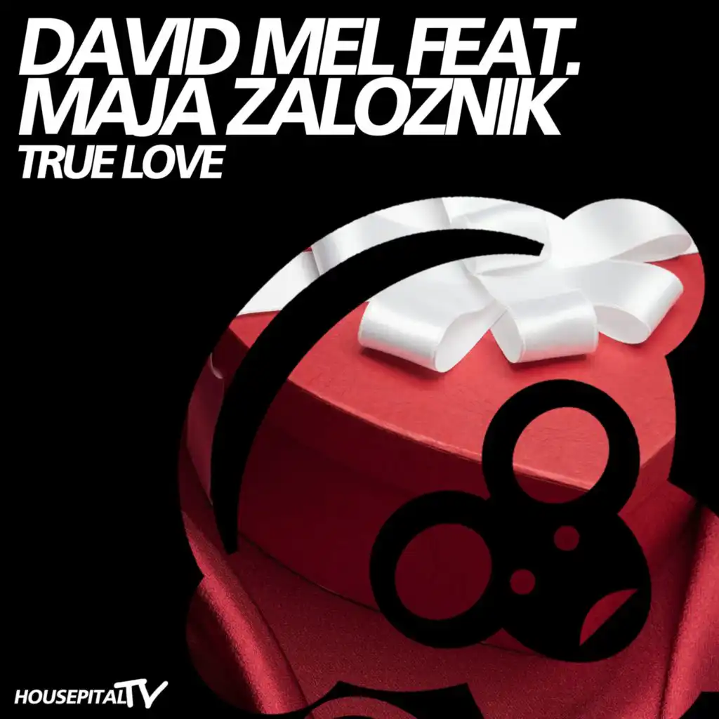 True Love (Instrumental Mix)