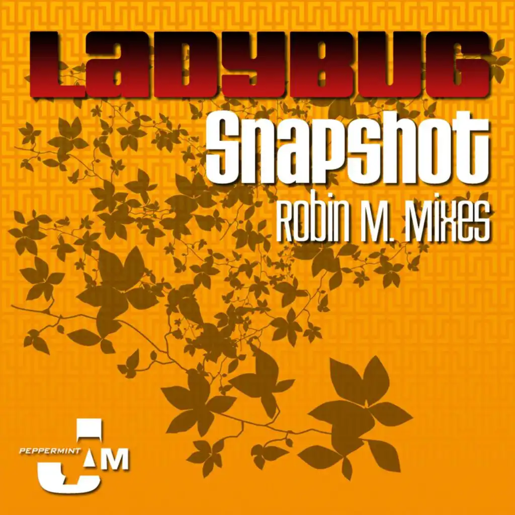 Snapshot (Robin M. Extended Remix)