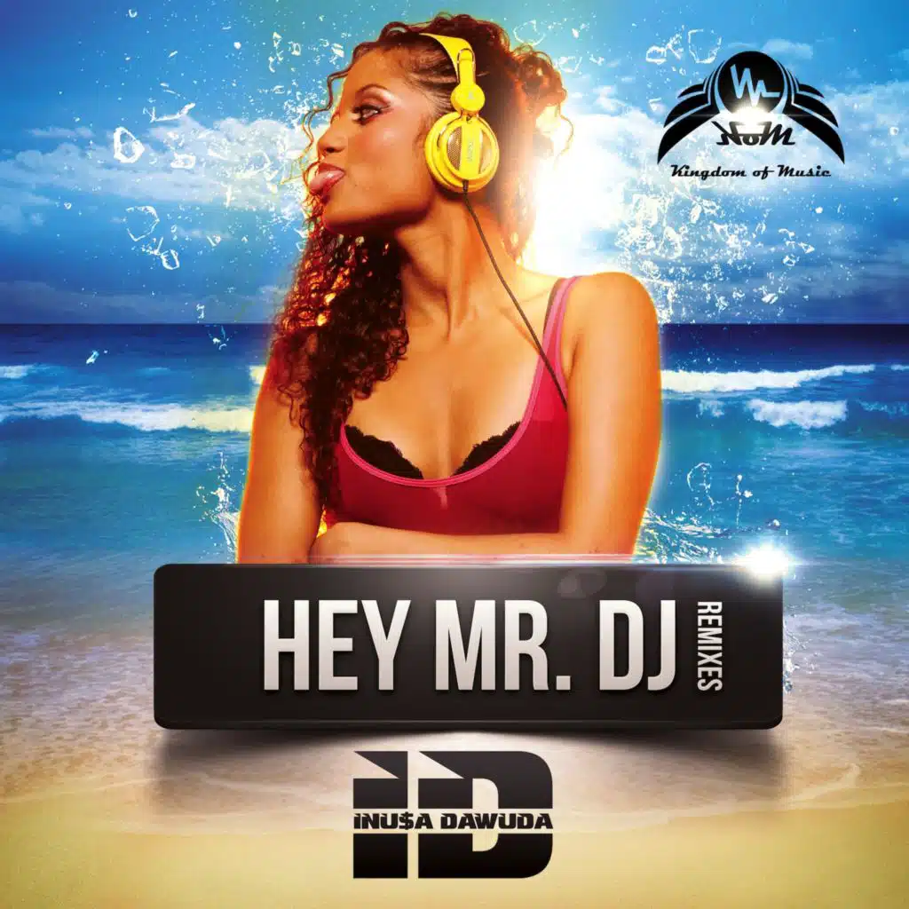 Hey Mr. DJ (Rude Vinyl Remix)