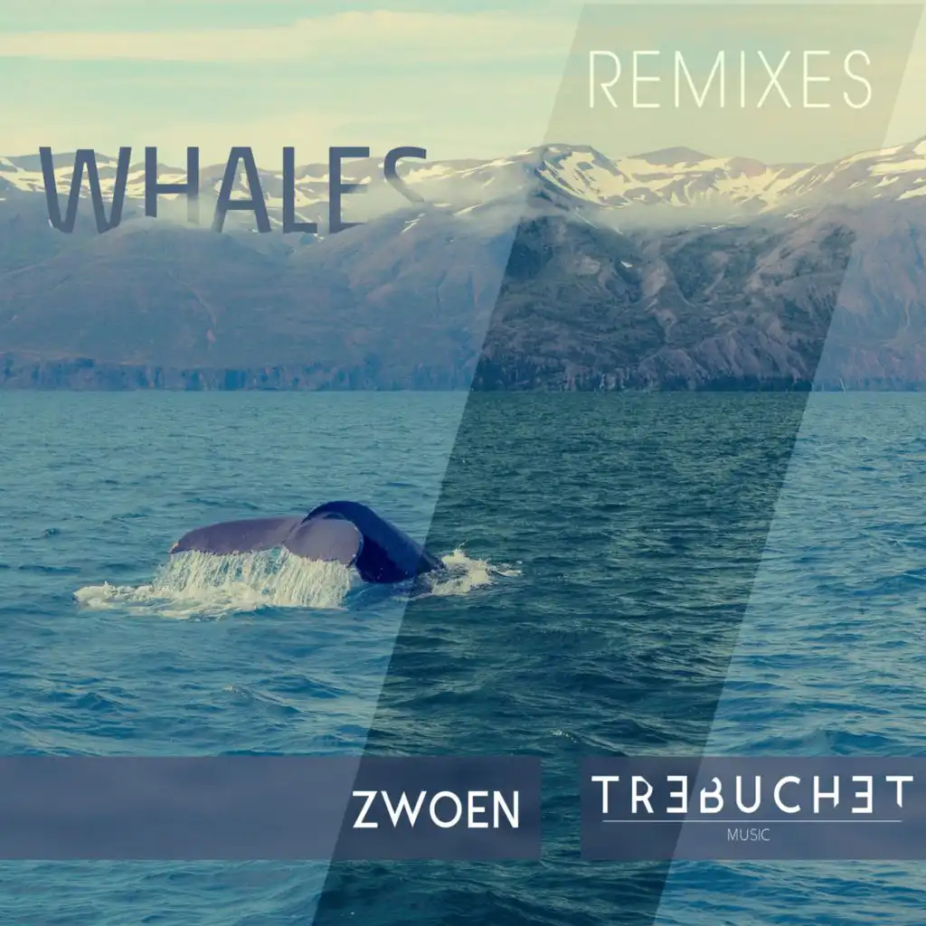 Whales (Schallfeld Remix)