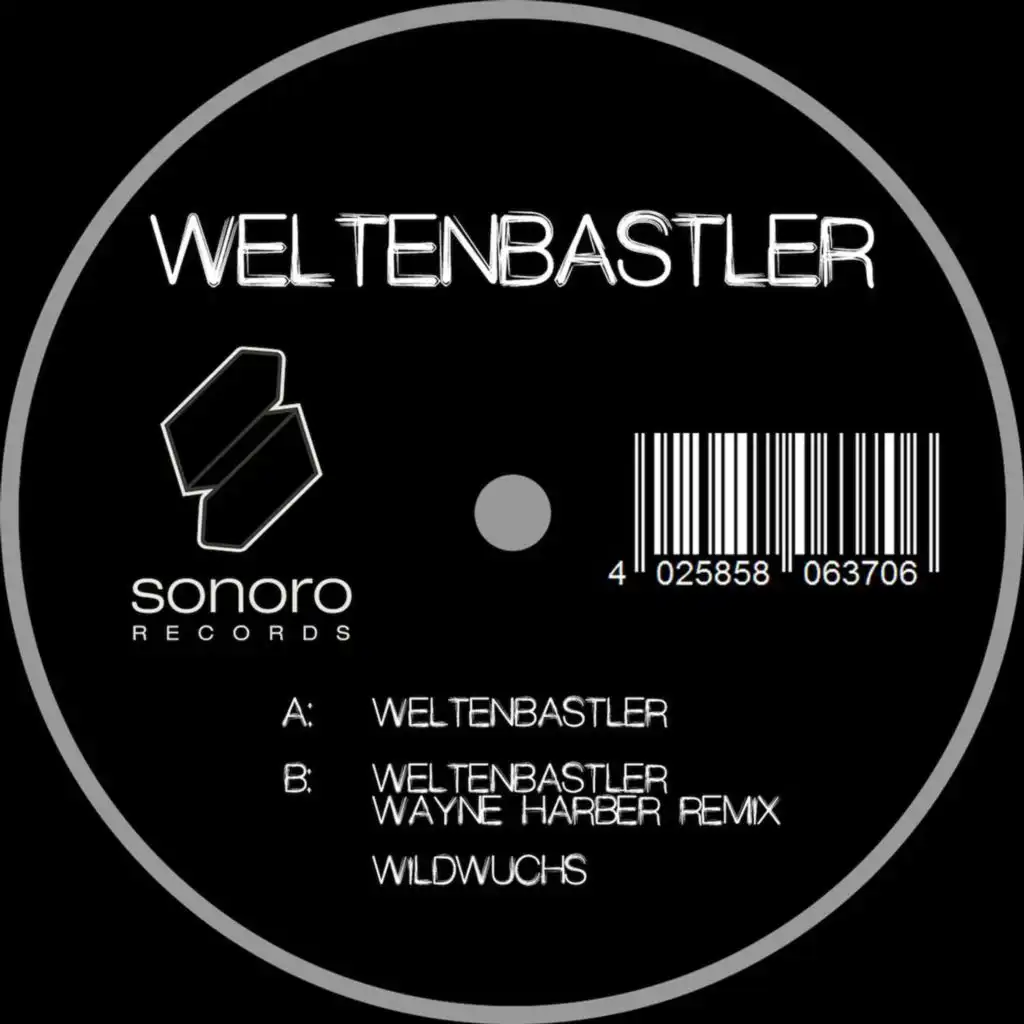 Weltenbastler (Wayne Harber Remix)