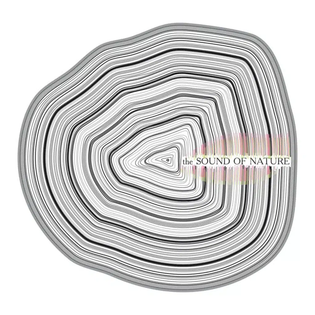 Visa (Quantec Remix)