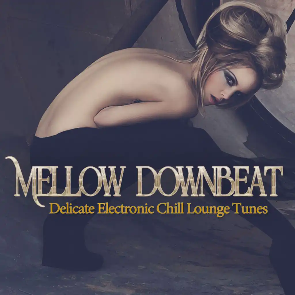 Mellow Downbeat - Delicate Electronic Chill Lounge Tunes