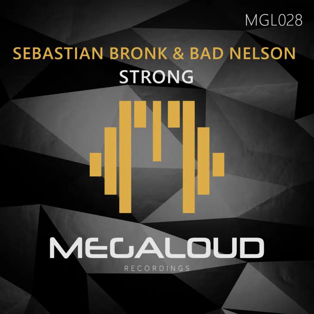 Sebastian Bronk & Bad Nelson