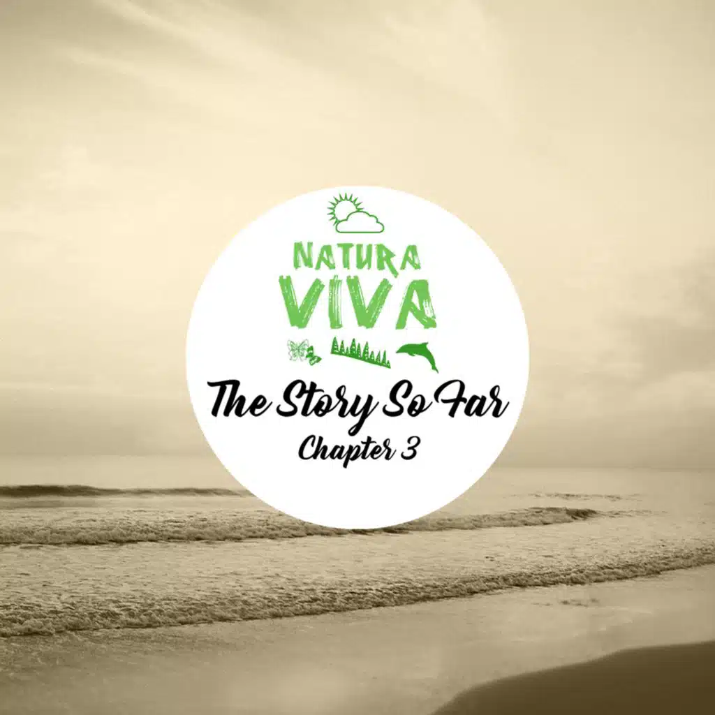 Collective Machine & Marina Karamarko