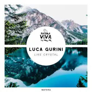 Luca Gurini
