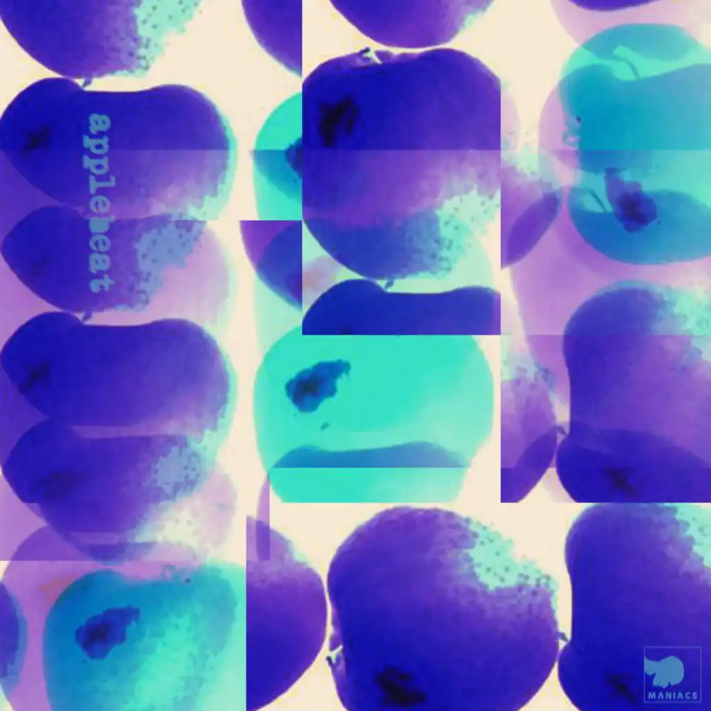 Ladron Que Roba a Ladron