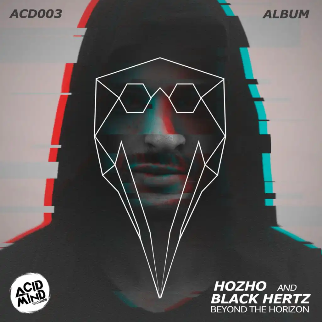 Insanity and Madness (Hozho Remix)