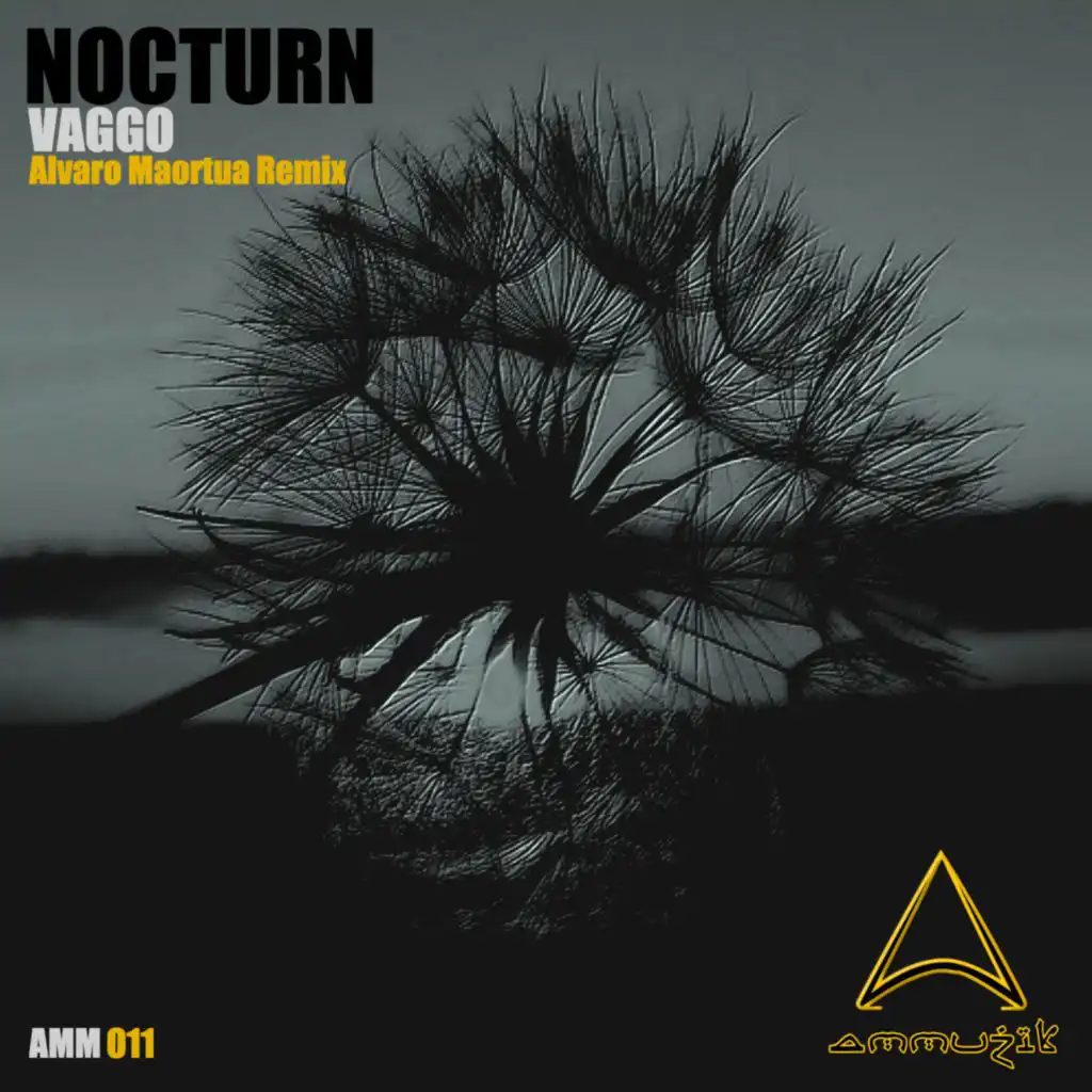 Nocturn (Alvaro Maortua Remix)