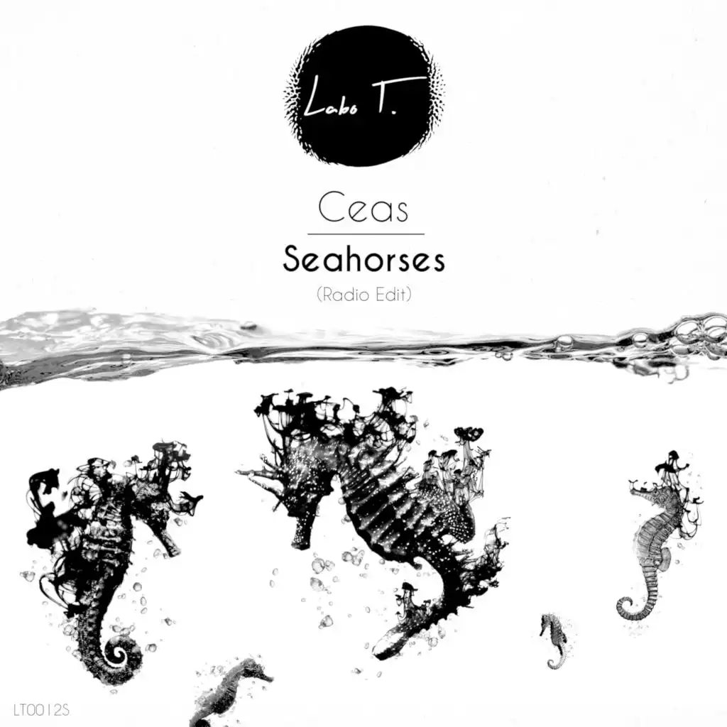 Seahorses (Radio-Edit)