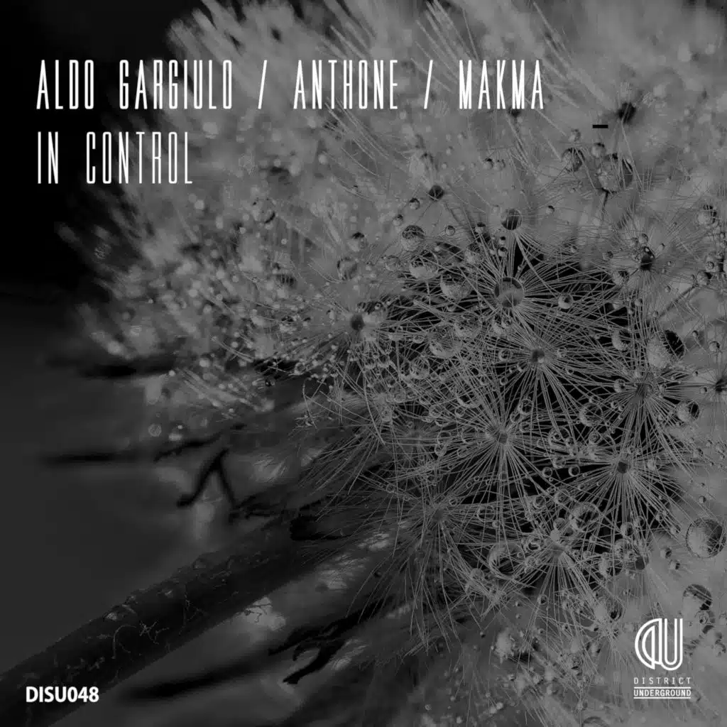 Aldo Gargiulo, Anthone & MaKma