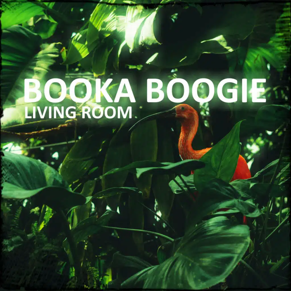 Booka Boogie (Instrumental)