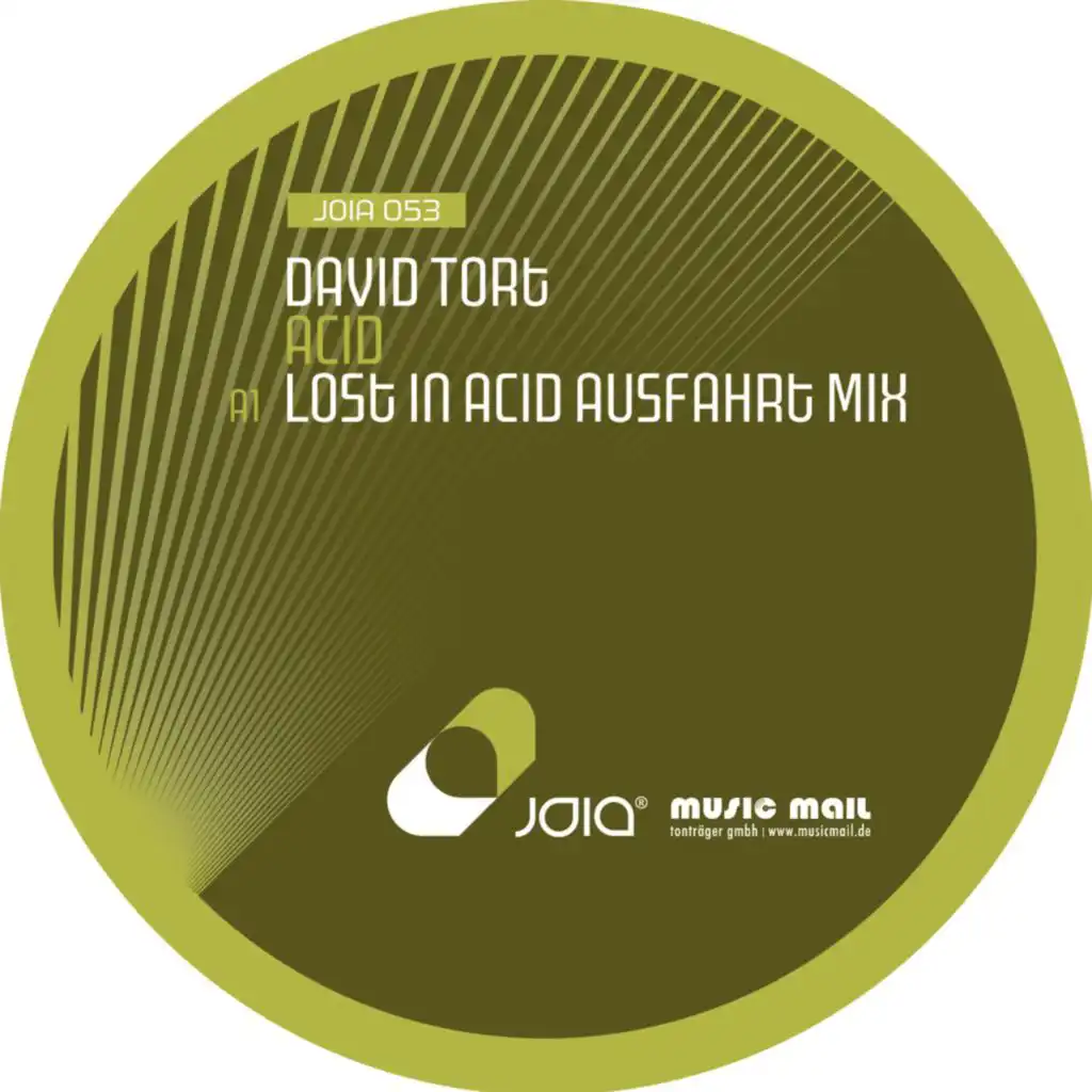 Lost in Acid (Tim Berg's Acidic Remix) [feat. Avicii]