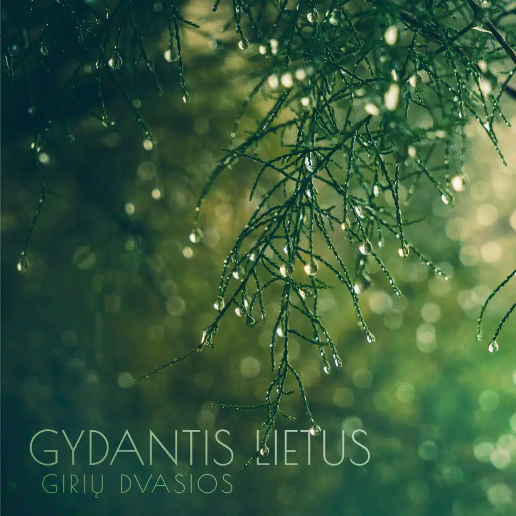 Gydantis lietus