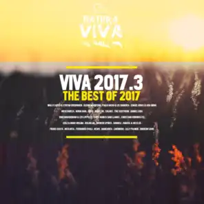 Viva 2017.3