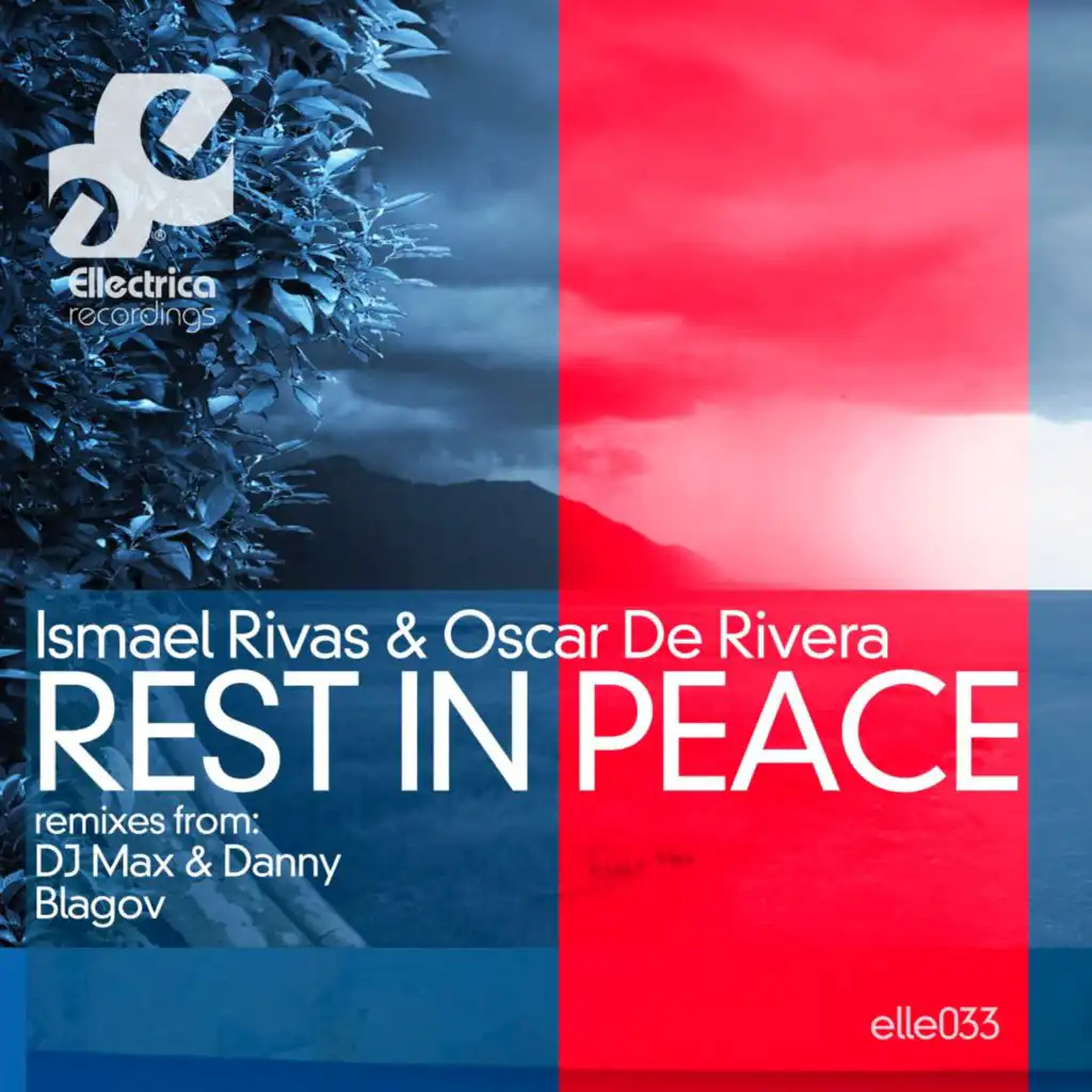 Rest in Peace (DJ Max & Danny Remix)