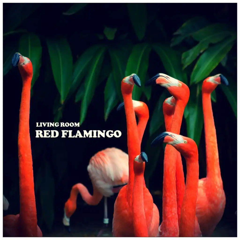 Red Flamingo (Instrumental) [feat. Pearldiver]
