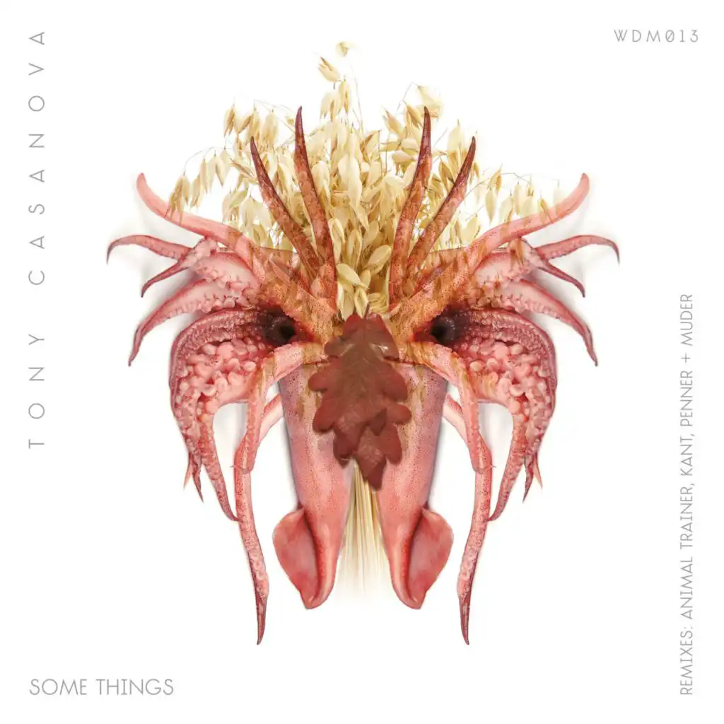 Some Things (Animal Trainer Remix)
