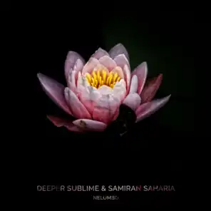 Deeper Sublime & Samiran Saharia