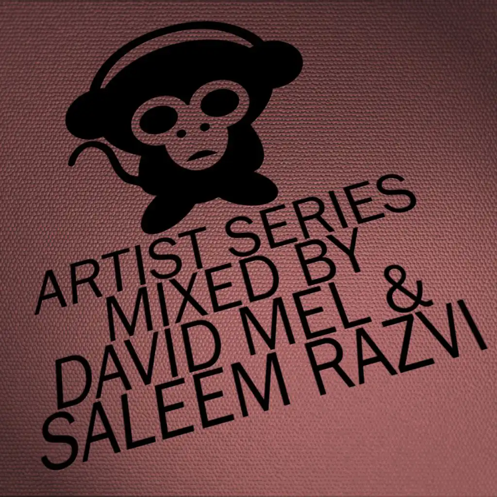 Housepital Artist Series, Vol. 9 Mixed By David Mel & Saleem Razvi