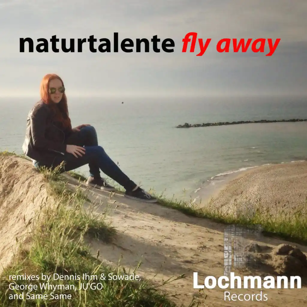 Fly Away (Dennis Ihm & Sowade Remix)