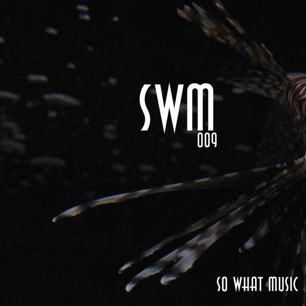 I Got the World (Sin Sin Remix)