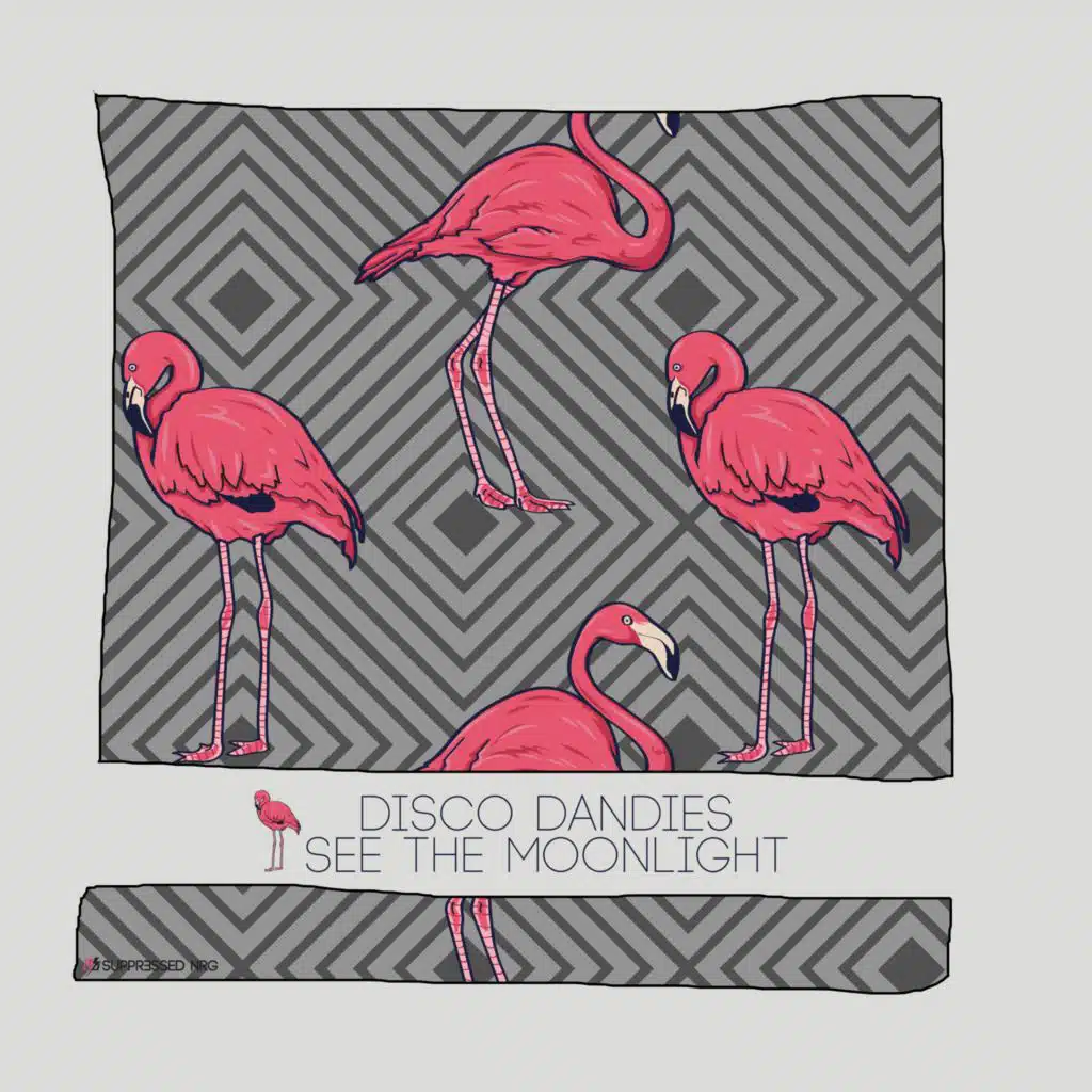 See the Moonlight (Alexander Koning & Dave Leatherman Disco Dub)