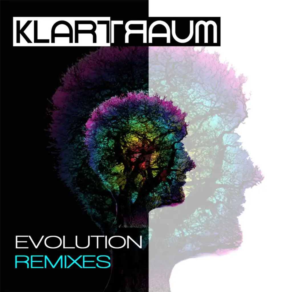 Evolution (Remixes)