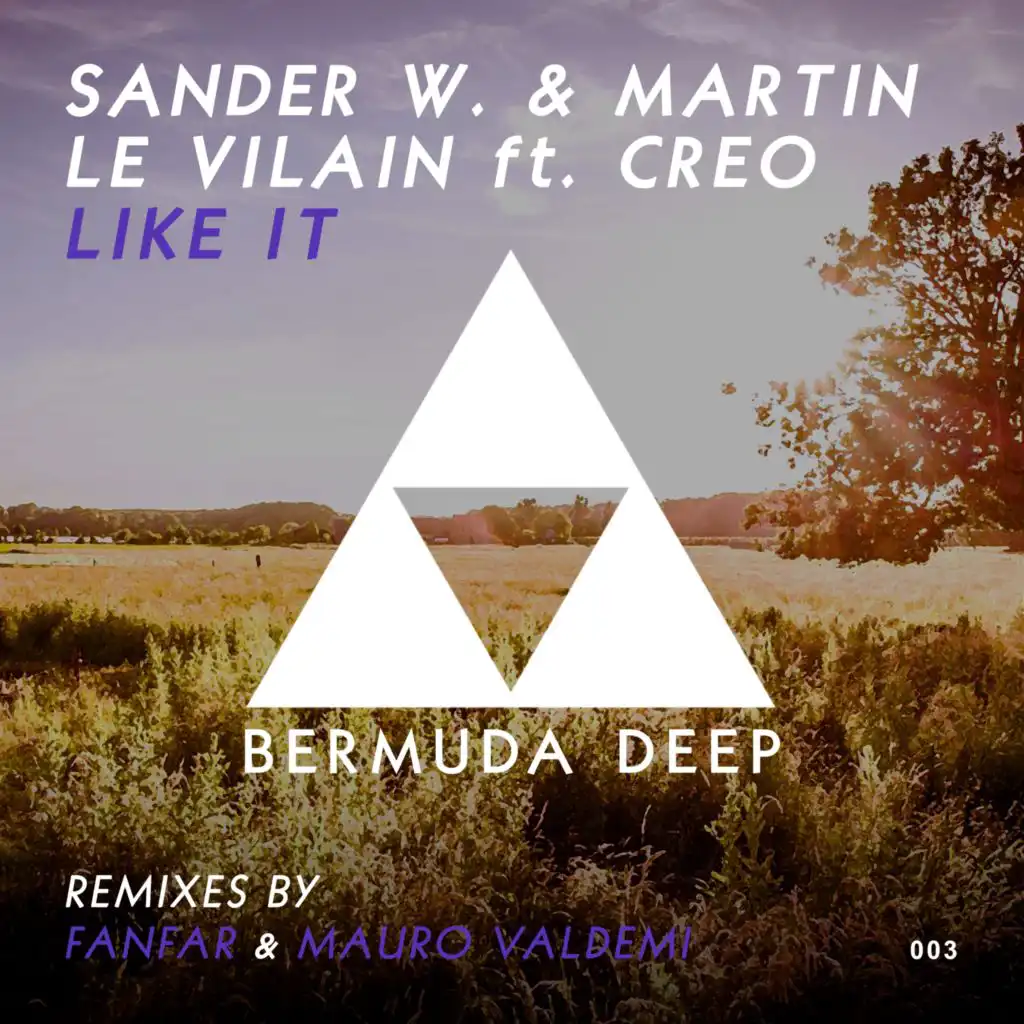 Like It (Mauro Valdemi Remix)