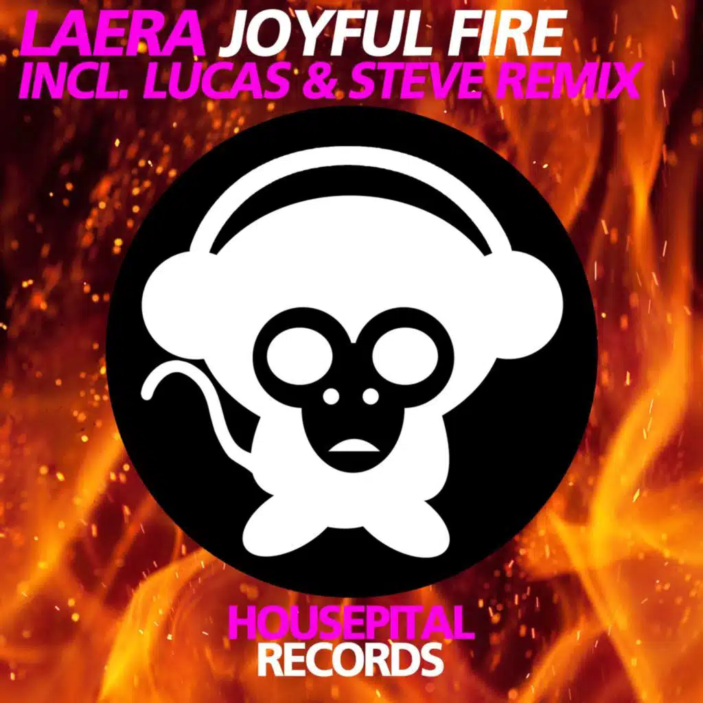 Joyful Fire (Lucas & Steve Remix)