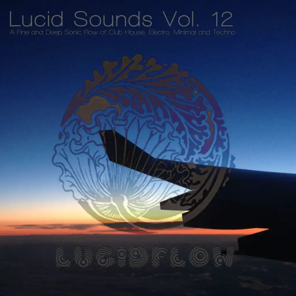 Lucid Sounds, Vol. 12 - A Fine and Deep Sonic Flow of Club House, Electro, Minimal and Techno