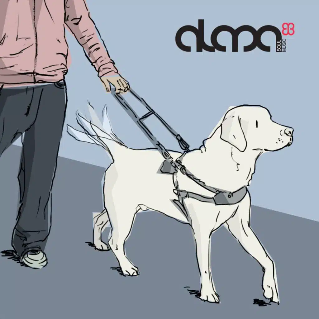 David Ponziano & Evan Burke