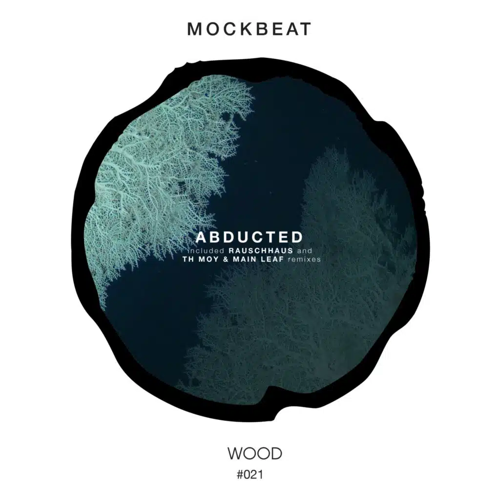 Abducted (Th Moy & Main Leaf Remix)