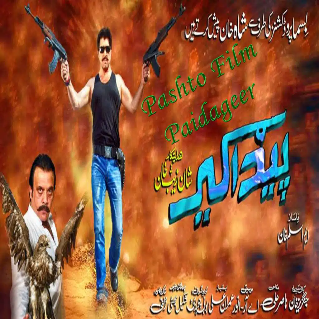 Pashto Film Paidageer Song